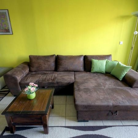 Ferienwohnung Neagu Mit 2 Apartements Winterberg Exterior foto